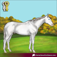 Horse Color:Perlino Dun Mushroom Sabino Splash Tobiano 