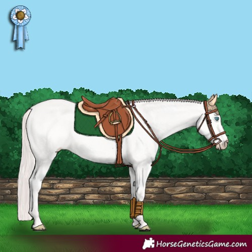 Horse Color:Perlino Dun Rabicano 