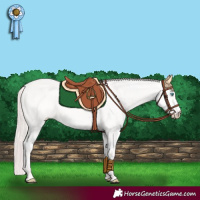 Horse Color:Perlino Dun Rabicano 