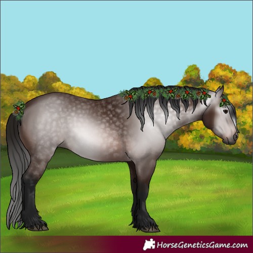 Horse Color:Gray Bay 