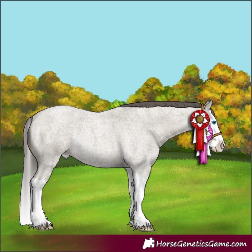 Horse Color:Classic Cream Champagne Roan Splash Rabicano 