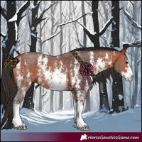 Horse Color:Bay Sabino 