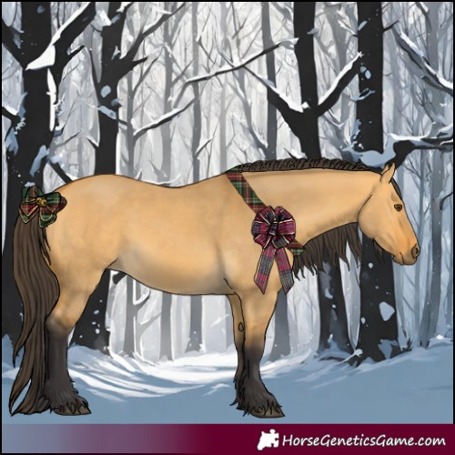 Horse Color:Buckskin Dun 