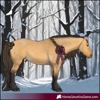 Horse Color:Buckskin Dun 