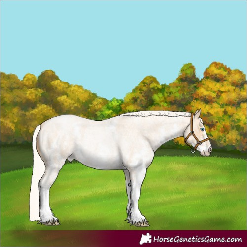 Horse Color:Silver Smoky Blue Roan Pearl Sabino 