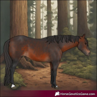 Horse Color:Brown 