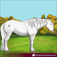 Horse Color:Silver Perlino Dun 