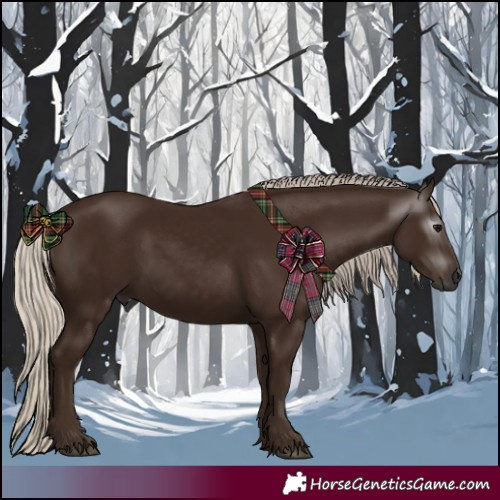 Horse Color:Gray Silver Black 