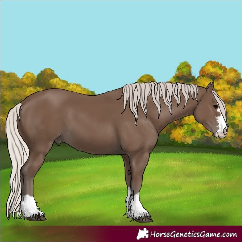 Horse Color:Silver Black 