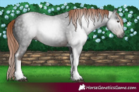 Horse Color:Gray Liver Chestnut Ice Tobiano 