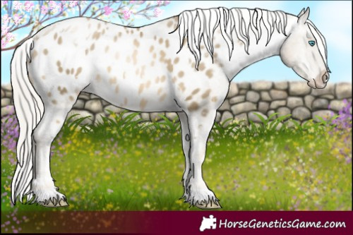 Horse Color:White Spotted Chocolate Silver Smoky Black Pearl Appaloosa 