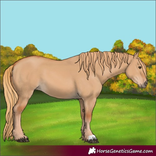 Horse Color:Red Dun 