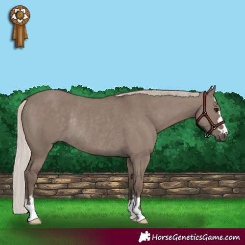 Horse Color:Silver Grullo Rabicano 