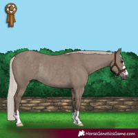 Horse Color:Silver Grullo Rabicano 