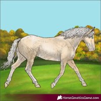 Horse Color:Silver Buckskin Pearl 