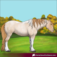 Horse Color:Red Roan Pearl Tobiano Frame 