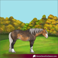Horse Color:Silver Buckskin 