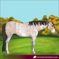 Horse Color:Bay Roan Sabino