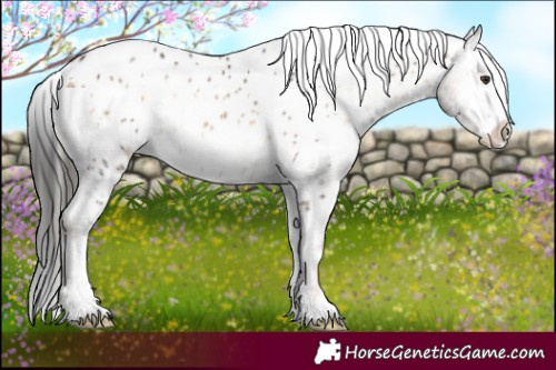 Horse Color:White Spotted Liver Red Onyx Near Leopard 