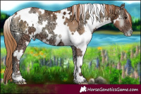 Horse Color:White Spotted Blue Onyx Ice Pearl