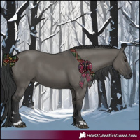 Horse Color:Grullo 