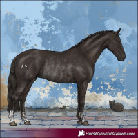 Horse Color:Liver Chestnut  and Liver Chestnut Rabicano 