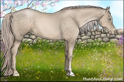 Horse Color:Chocolate Palomino Pearl Sabino