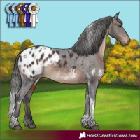 Horse Color:White Spotted Brown Tobiano Appaloosa Rabicano