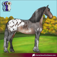 Horse Color:White Spotted Brown Tobiano Appaloosa Rabicano 