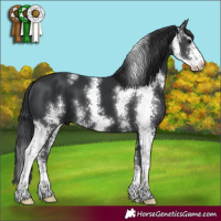Horse Color:Black Sabino 