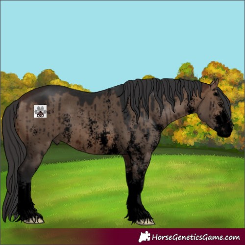 Horse Color:Void Brown Dun Sabino Brindle 