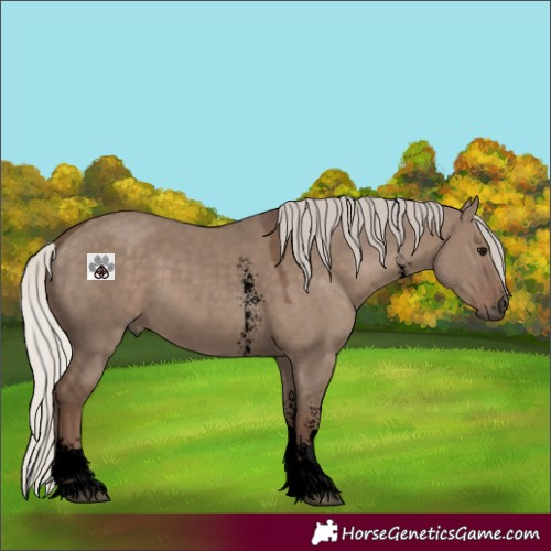 Horse Color:Void Silver Grullo Sabino 