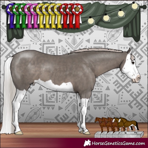 Horse Color:Silver Black Splash 
