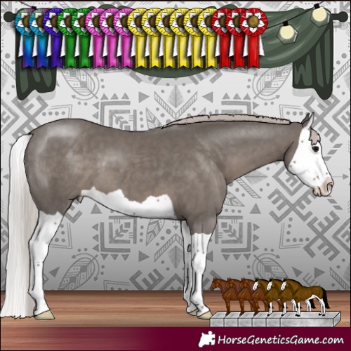 Horse Color:Silver Black Splash 