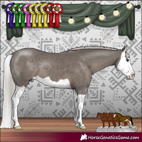 Horse Color:Silver Black Splash 