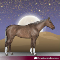 Horse Color:Silver Brown Dun Tobiano 