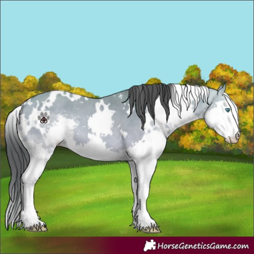 Horse Color:White Spotted Amber Cream Champagne Dun Splash