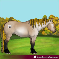 Horse Color:Gray Void Painted Bay Dun