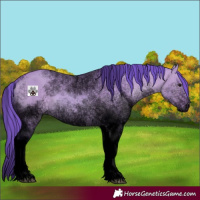 Horse Color:Void Watercolor White Spotted Bay Dun Tobiano 