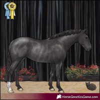 Horse Color:Smoky Black Rabicano