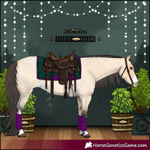 Horse Color:White Spotted Buckskin Roan