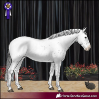 Horse Color:Black Sabino Snowcap Rabicano 
