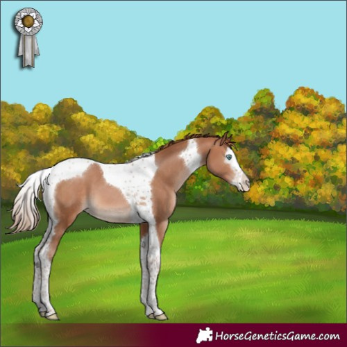 Horse Color:Brown Pearl Splash Tobiano
