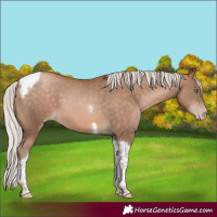 Horse Color:Silver Brown Pearl Tobiano 
