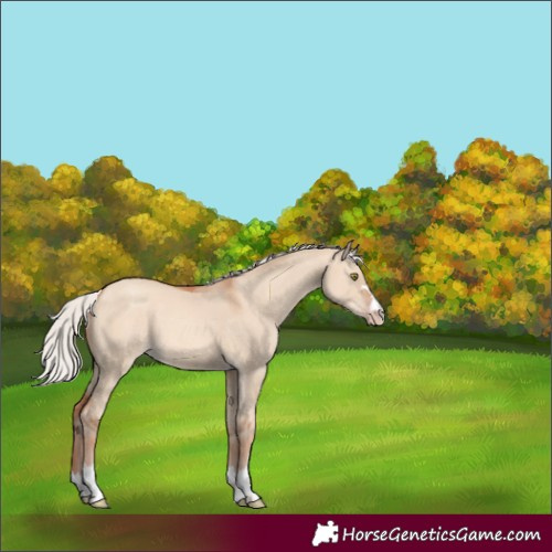 Horse Color:Silver Sable Champagne Dun 