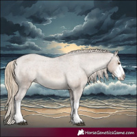 Horse Color:White Spotted Liver Red Dun Varnish Rabicano 