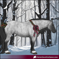 Horse Color:Blue Roan 