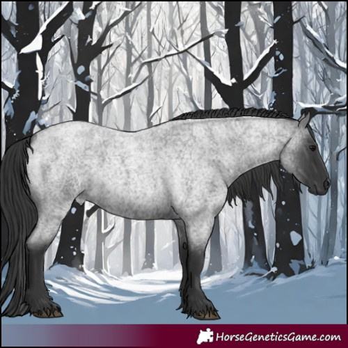 Horse Color:Blue Roan 