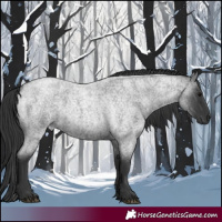 Horse Color:Blue Roan 