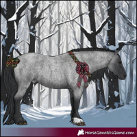 Horse Color:Blue Roan 